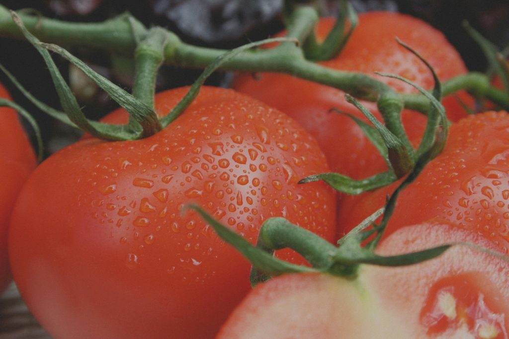 Fresh Tomatoes